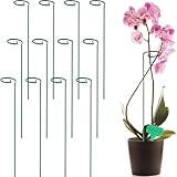 GROWNEER 12 Packs 16 Inches Plant Support Stakes, with 15 Pcs Plant Labels, Garden Single Stem Flower Support Stake, Plant Cage Support Rings for Flowers Amaryllis Orchid Peony Lily Rose