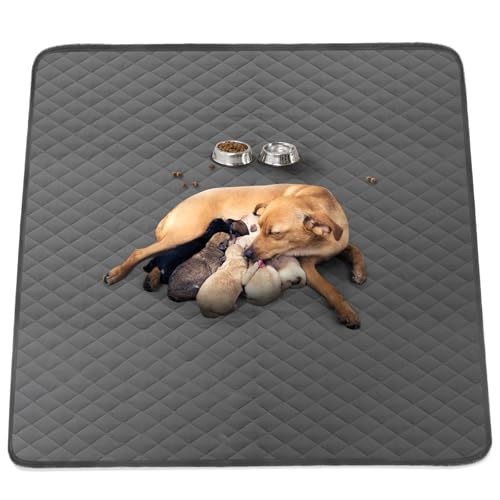 Image of Washable Reusable Dog Pee Pads, 48 inchx65 inch Absorbent & Waterproof Puppy Training Pad for Crate, Playpen & Carpet, Large Potty Pads for Dogs, Cats & Small Pets
