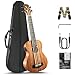 Caramel CUB402 Electric Ubass 30 inch All Solid Mahogany Ukulele Bass UBass