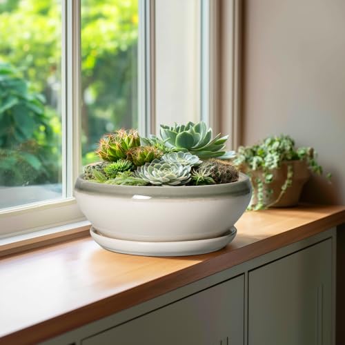 SQOWL Bonsai-Töpfe aus Keramik, 25,4 cm, Sukkulenten-Pflanzgefäße für Zimmerpflanzen, Outdoor… – Ansicht 4