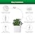SANSI Grow Lights for Indoor Plants, LED Pot Clip Plant Light for Growing, 4000K Full Spectrum Plant Growing Lamp with 4-Level Dimmable, Auto On Off Timing 3 6 12 Hrs for Small Plants, White 5V 2-Pack