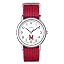Maryland Terrapins