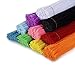 zees 1,000 Pipe Cleaners in 10 Assorted Colors, Value Pack of Chenille Stems for DIY Arts and Craft Projects and Decorations - 6mm x 12 Inches (1000)
