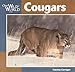 Cougars (Our Wild World)