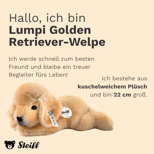 Steiff Kuscheltier Kleiner Freund Golden Retriever Welpe Lumpi, Süßes Stofftier mit Kunststoffaugen, Kinder, Jungen & Mädchen, Plüschtier 22 cm, Beige, 280160