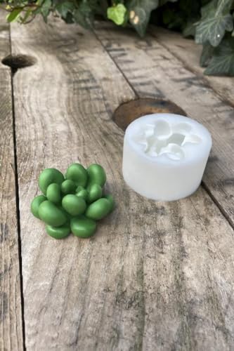 Moonstone Sukulent Silikon Mum Kalıbı