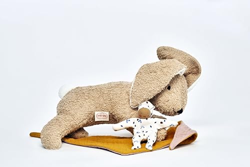 Käthe Kruse Holly Hase I Kleine Plüsch-Hasen-Freundin für Kinder ab 0...