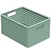 Rotho Country Aufbewahrungskiste 18l in Rattan-Optik, Kunststoff (PP recycelt) BPA-frei, grün, A4/18l (36,8 x 27,8 x 19,1 cm)