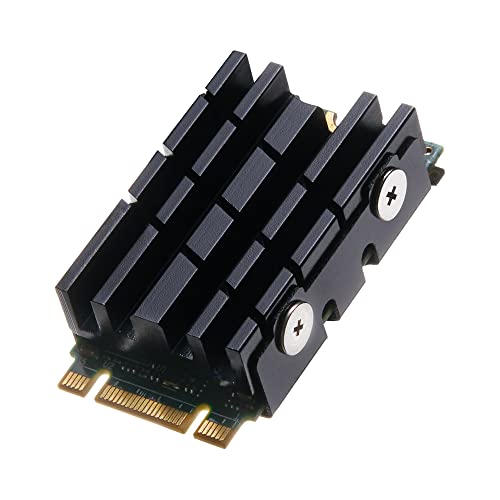 DolDer M.2 2242 SSD Kühlkörper, Aluminium Kühler Heatsink mit Wärmeleitpads für M.2 2242 SSD (2242 schwarz)