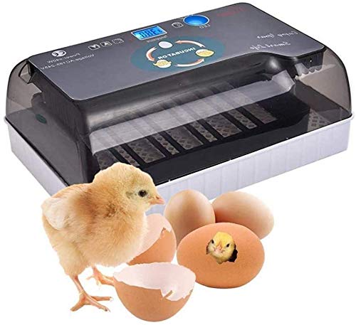 SYue 12 Eggs Incubator Digital Poultry Hatcher Automatic Turning Brooder Built-in LED Egg Light For Chicken Goose Bird Duck Home Use
