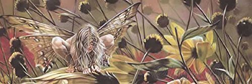 Affiche Fantasy Butterfly Chameleon pour salon | Poster déco panoramique 53x158 cm