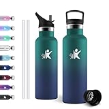 JAPORIA Borraccia Acciaio Inox 500ml, Bottiglia Termica con Cannuccia, Riutilizzabile, senza BPA, a prova di perdite, per Ufficio, Palestra