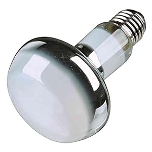 Trixie Wärme-Spotlampe 76003 Schwarz 100 W