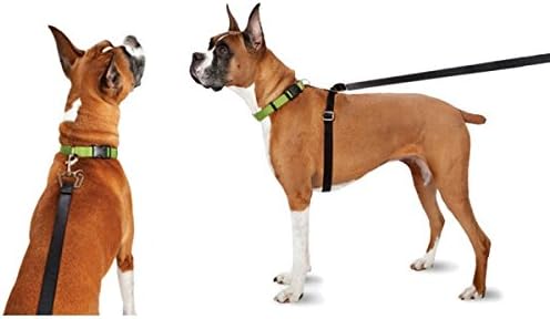 ThunderLeash Retractable No Pull Solution Dog Leash, Large