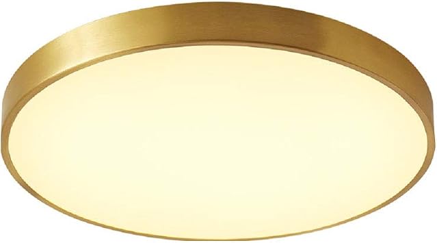 LED Dimmable Ceiling Light,Circular Golden Ceiling,Round Brushed Brass Flush Mount Ceiling Lamp,For Living Room Bedroom Kitchen Hallway Stairway With Remote Control Light Fixture-Warm light 50cm [Energy Class A+++]