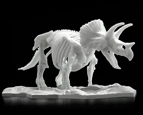 Bandai Hobby Modelo Kit Esqueleto Dinosaurio Triceratops miniatura 3