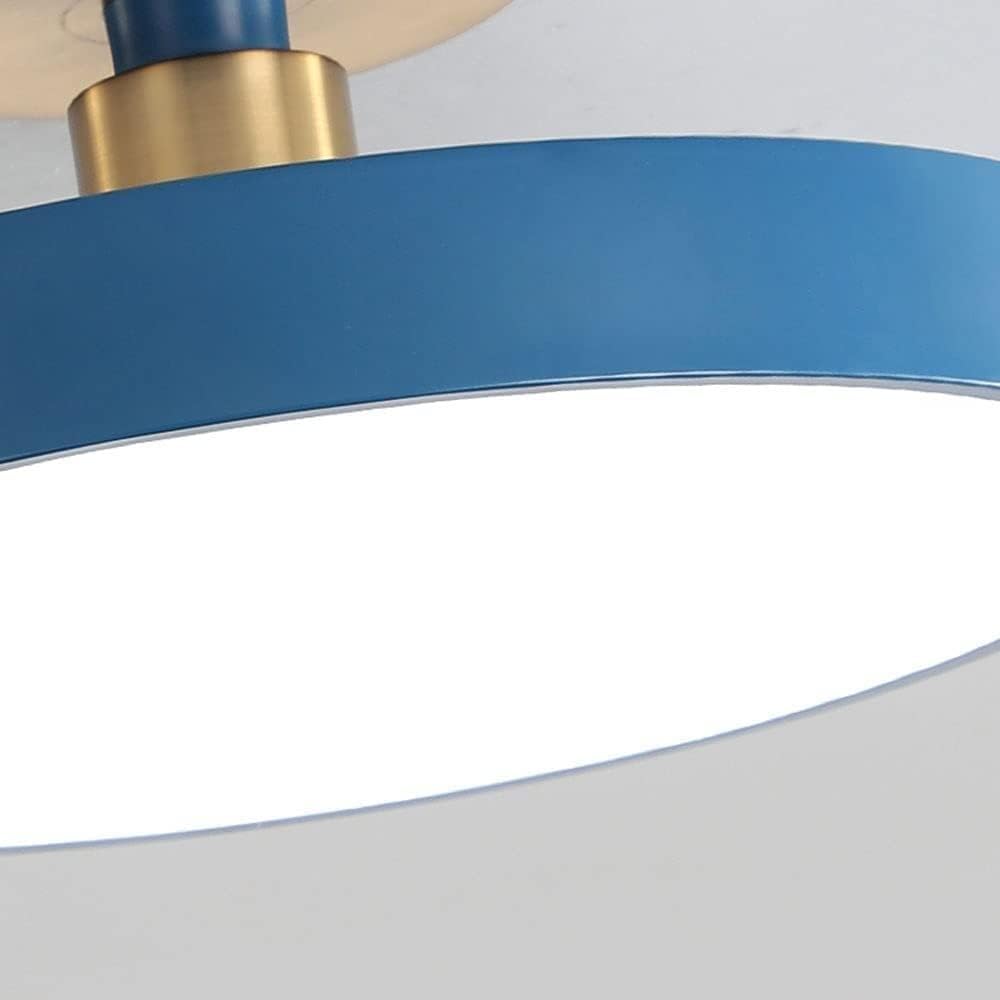 Nordic Led Simple and Modern Ceiling Light Round Close to The Ceiling Lamp Light with Remote Ultra-Thin for Living Room, Bedroom, Dining Room/White/White Light 16In