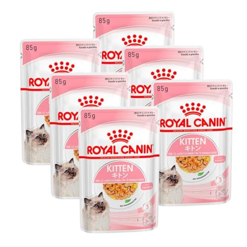 キャットフード ロイヤルカナン キトン」の人気商品一覧 | 安い商品を