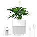 Produktbild Bozily Selbstbewässernde Smart Blumentöpfe für Pflanzen, Innen, kleiner Garten, für Zuhause, Büro, Hotel, Tischdekoration, 17,8 cm Übertopf für Blumen, Sukkulenten, Kräuter
