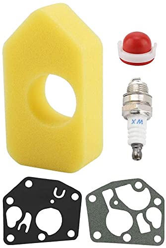 Kit Ricambio Filtro Aria E Carburatore Per Motori Briggs & Stratton - Include Candela E Guarnizioni - Foto 3