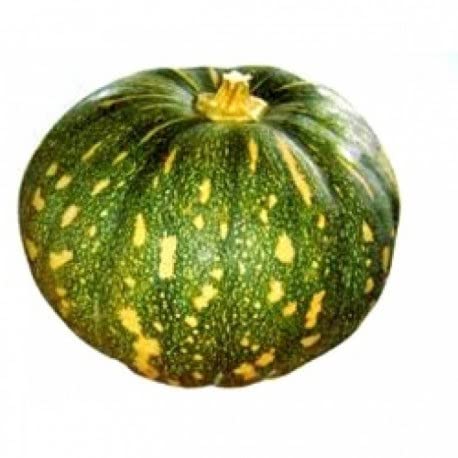 Arka Suryamukhi Pumpkin Seed 150 SEED (B09JMS7131) Amazon Price History, Amazon Price Tracker