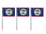 JAVD CYPS 100 Pcs Belize Flag Belizean Toothpick Flags, Small Mini Stick Cupcake Toppers Belizean Flags,Country Picks Party Decoration Celebration Cocktail Food Bar Cake Flags