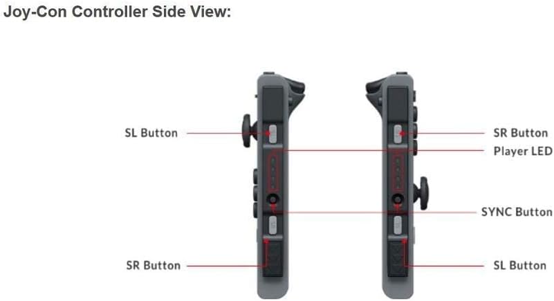 Vue 5