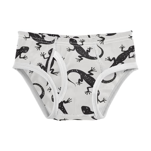 Wusikd Black Gecko Boys' Underwear Cotton Boys Briefs Soft Toddler Underwear 2T