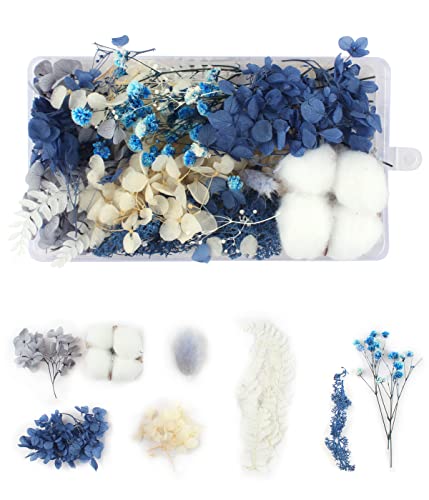 DEZ - Boîte de Fleurs Séchées Naturelles Bouquet Décoratif Pour Noël en Vrac