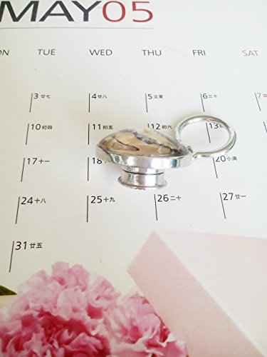 Image of Transparent Glass Natural Abalone Paua Shell Magnetic Eyeglass Holder for Shirt