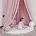 LOAOL Bed Canopy with Pom Pom for Kids Crib Baby Girl Netting Cover Canopy Crib Curtain Reading Nook Hanging Tent Nursery Play Game Castle Room Decoration (Pink)