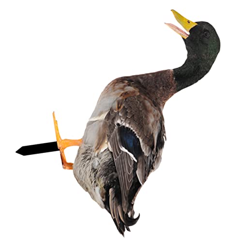 SEWOART Ornement de Jardin Acrylique Forme de Canard Décoration Extérieure Résistante pour Pelouse et