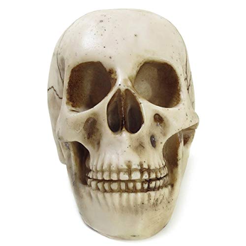 Crânio Da Vinci Grande Rachado Trincado Escultura Realista