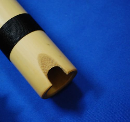 ケーナとケナティカ BARRICADE XT97 HOLOGRAM / フィラバリケードエックスティーナ