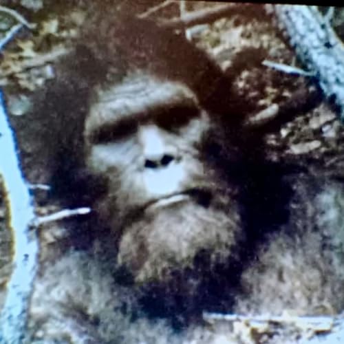 3 TRUE SCARY ALONE AT NIGHT HORROR STORIES Podcast Por  arte de portada