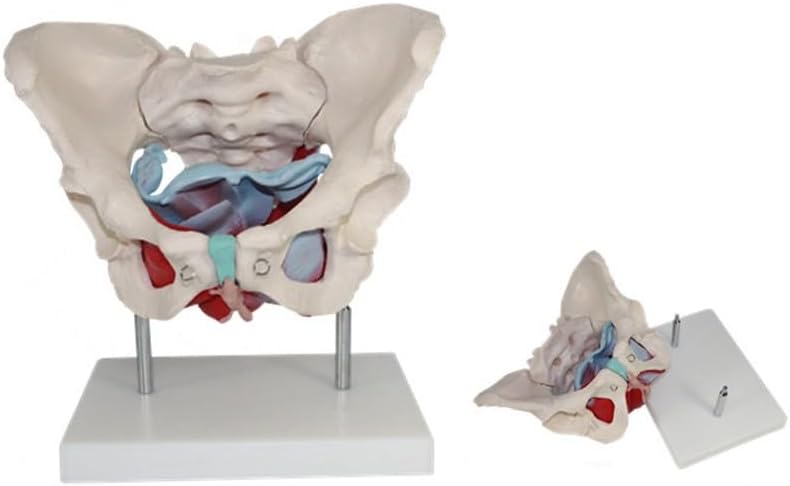 ⭐︎未使用品⭐︎】SHIMANO 09ADVANCE大磯1.5-530 23713