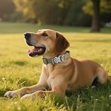 AKOFIC Taktisches Hundehalsband mit Griff, Breites Halsband Hund Gepolstert aus Nylon, Verstellbar Robuster Dog Collar mit Metallschnalle für Mittlere Große Hunde (Dunkelkhaki, M)