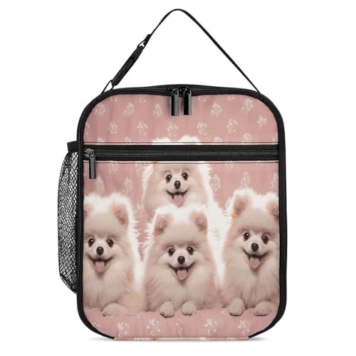 Pomeranians Puppies And Point �����`�o�b�O �ۉ� ��e�� �����`�{�b�N�X �ė��p�\ �����`�g�[�g�o�b�O �ʋ� ���s