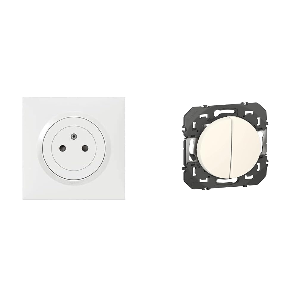 Prise electrique 16A Legrand dooxie Surface et interrupteur double