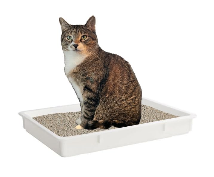 Arenero abierto de plástico CenPro para gatos 26x18x3 pulg miniatura 1