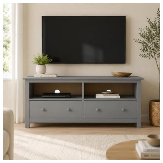Gray Pine TV Stand with Storage Options