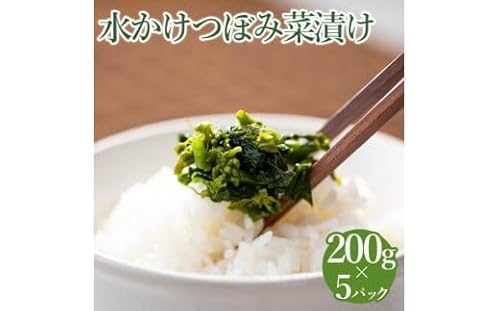 水かけつぼみ菜漬け 5パックセット[惣菜 漬物]