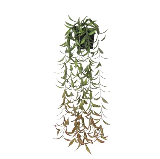Plantes artificielles haut de gamme lierre et eucalyptus suspendus décoratifs