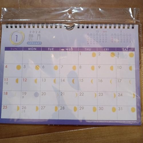 2026N ̖ Ǌ|J_[ B5TCY