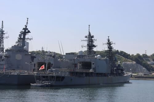 y{̊͒|XgJ[hz {sC㎩q͒̃|XgJ[h͂PO photo by MIRO