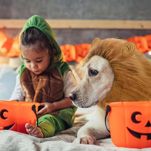 VIDSTW Lions Mane mit Realistische Ohren für Hundekostüm Halloween Löwenmähne Perücke Hundekostüm Einstellbar Löwenmähne Hund Halloween Kostüm Hund für Haustier Verkleiden (Hellbraun)