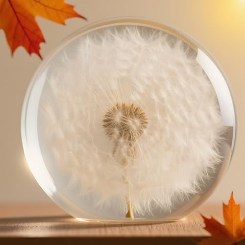 YouerCrystal Collectible Real Dandelion Sphere, Glass & Resin, 3D Preserved Flower Paperweight, 2.56in, Birthday/Wedding/Valentine’s Day Gifts