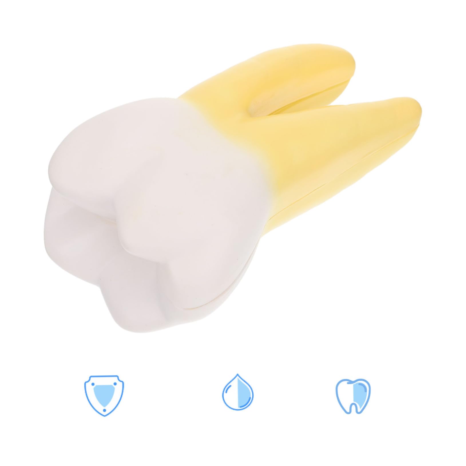 Modello Molare Anatomico in Pvc per Dimostrazione Dentale | Giallo, Leggero, Realistico, per Cliniche Odontoiatriche e Insegnamento