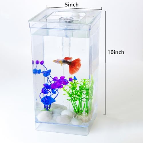 ODOTTAA Meu Primeiro Aquário, Mini Aquário Pequeno De 1 Galão, Fácil Manutenção, Autolimpeza, Sem Ne