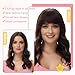 Cesomeey Clip in Bangs 100% Real Human Hair, Wispy Bangs Hair Clip, Fake Bang Fringe with Temples Hairpieces for Women Daily Wear (Natural Black, Wispy Bangs)